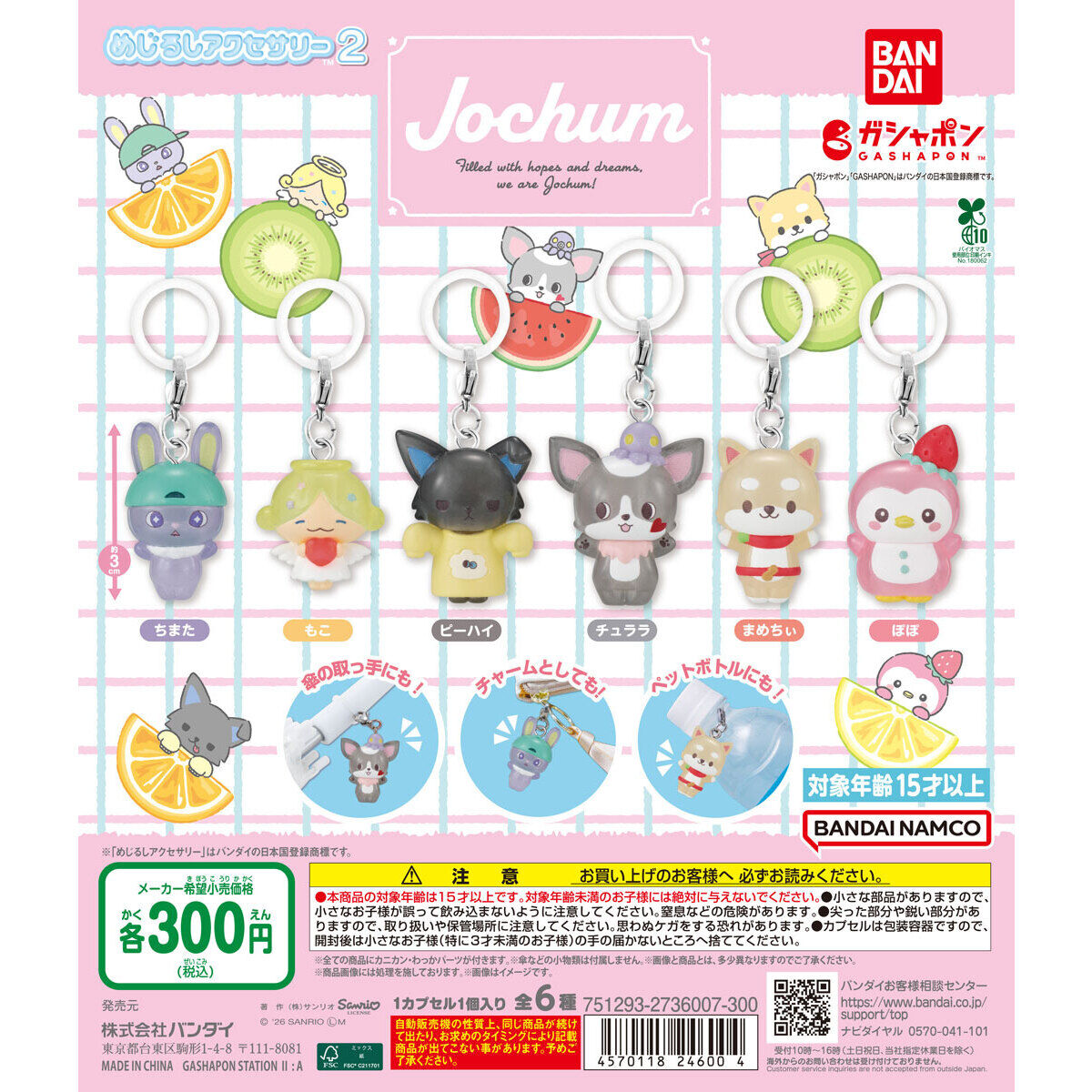 JOCHUM めじるしアクセサリー2