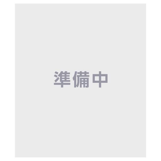 ナルミヤキャラクターズ ミニチュアパッケージチャーム