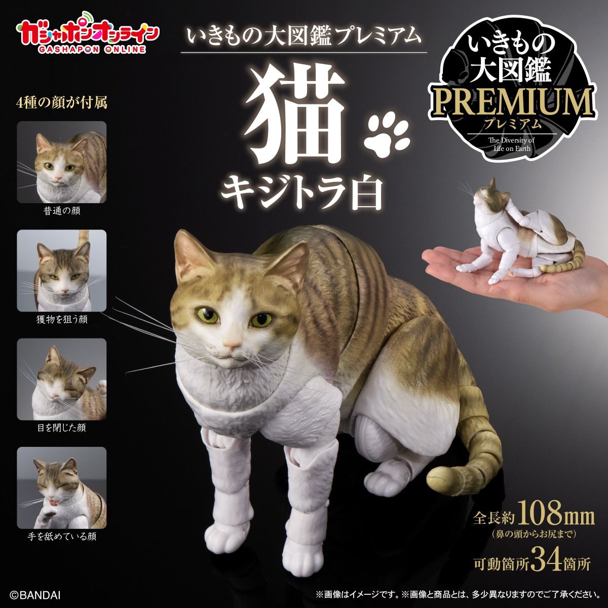 いきもの大図鑑プレミアム 猫 キジトラ白