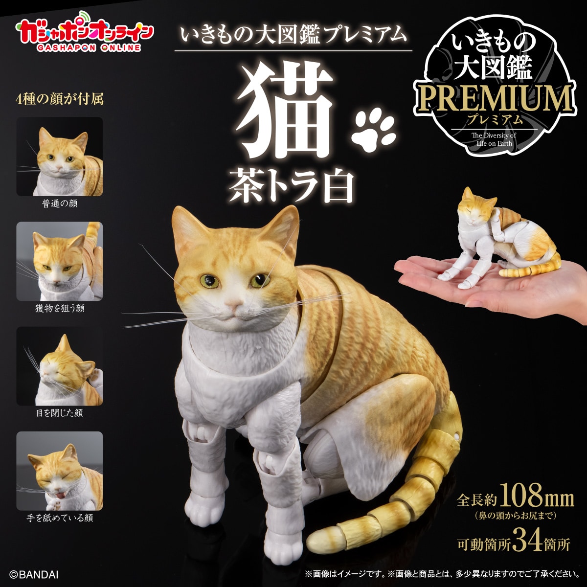 いきもの大図鑑プレミアム 猫 茶トラ白