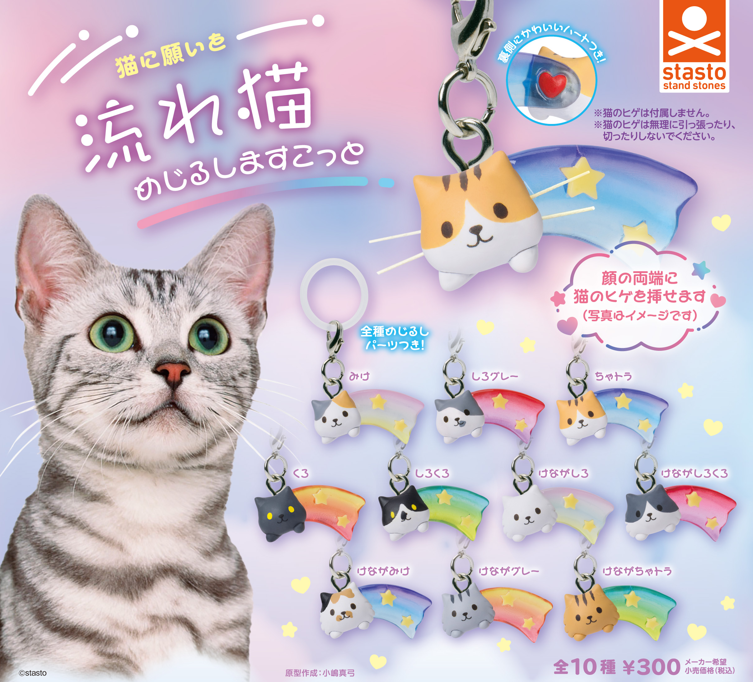 猫に願いを 流れ猫 めじるしますこっと
