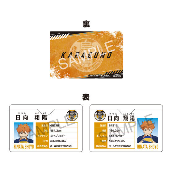 【フラットガシャポン】ハイキュー!! マイプロフケース