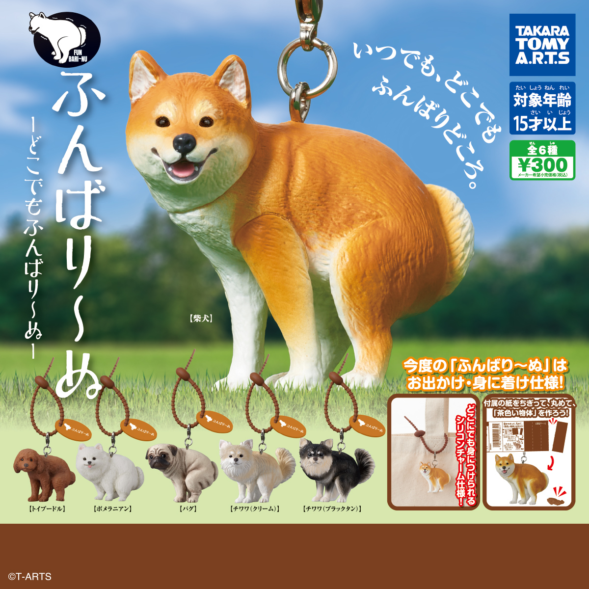 ふんばり～ぬ -どこでもふんばり～ぬ-