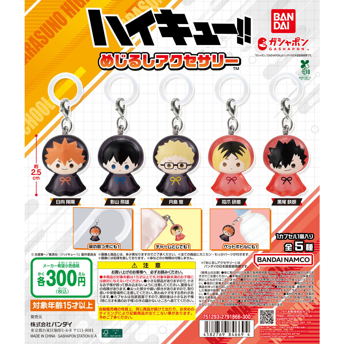 ハイキュー!! めじるしアクセサリー