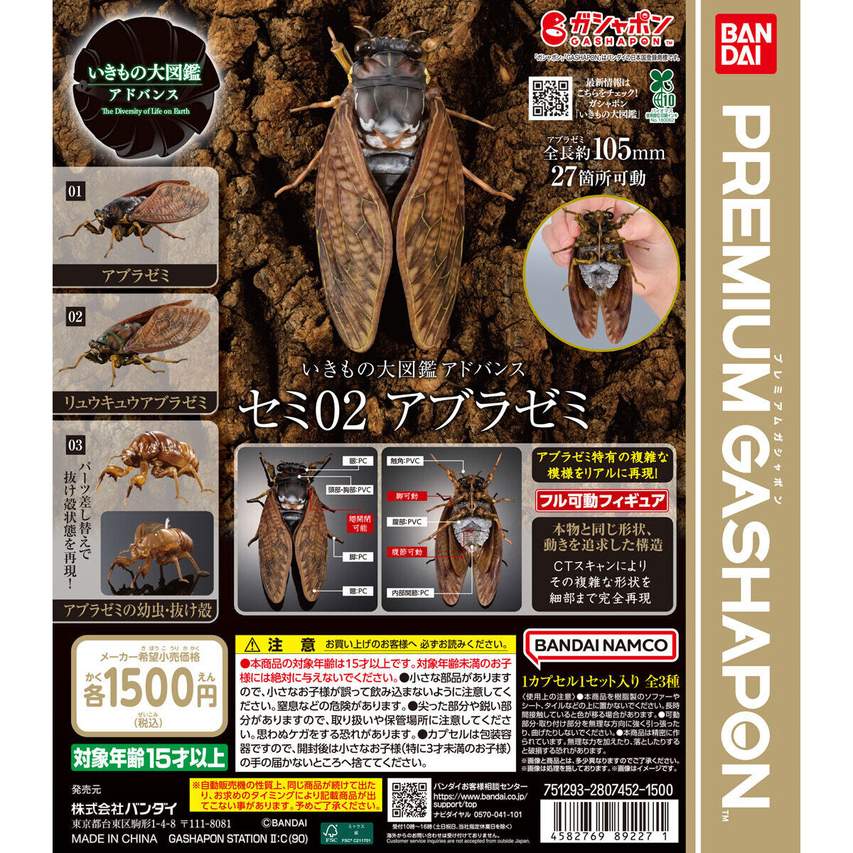 いきもの大図鑑アドバンス セミ02 アブラゼミ