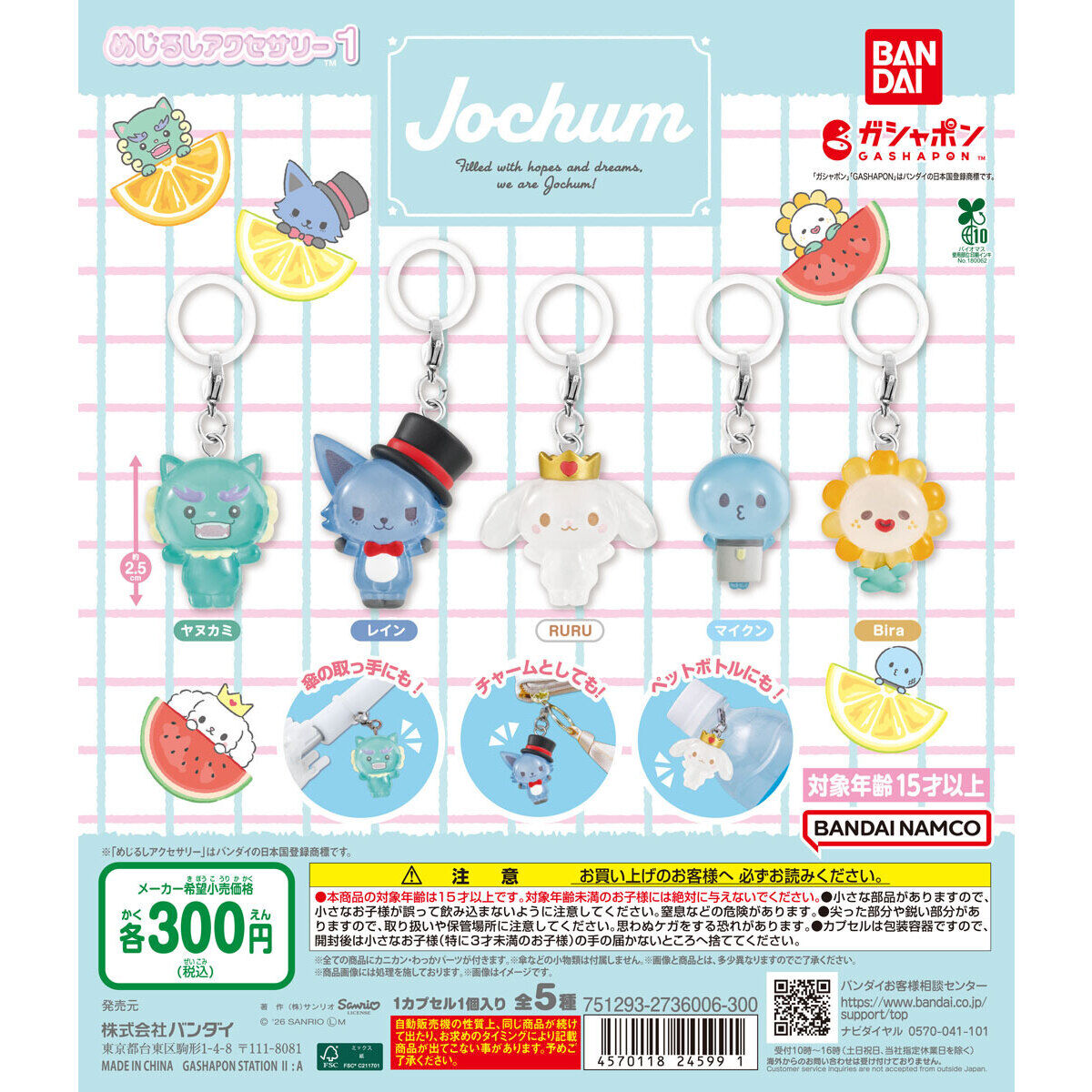 JOCHUM めじるしアクセサリー1