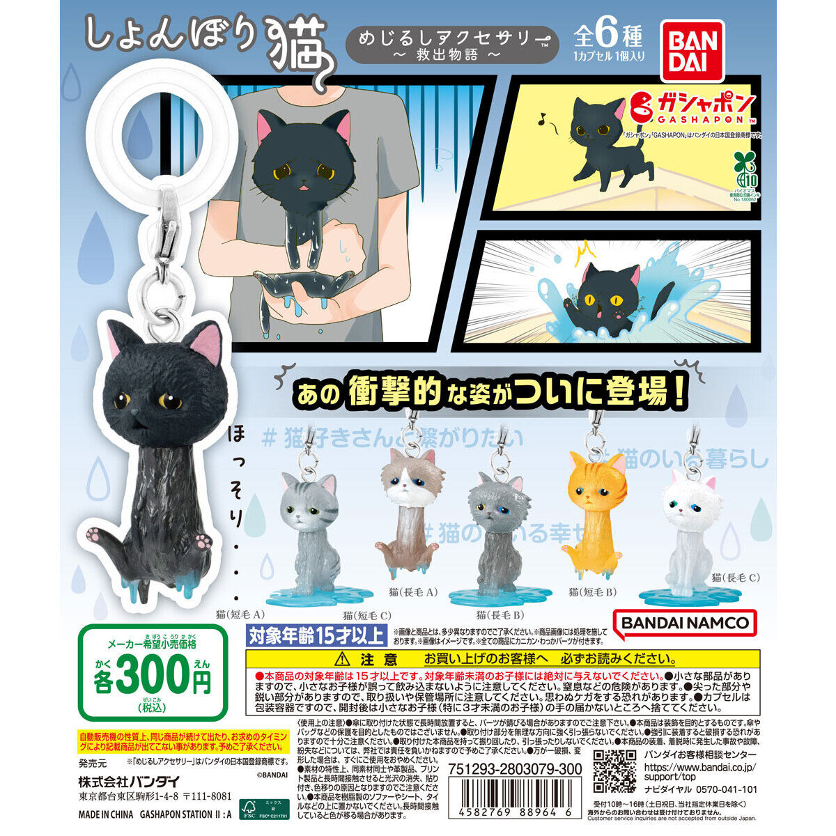 しょんぼり猫 めじるしアクセサリー ～救出物語～
