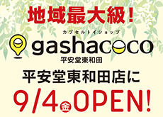 gashacoco 平安堂東和田 外観