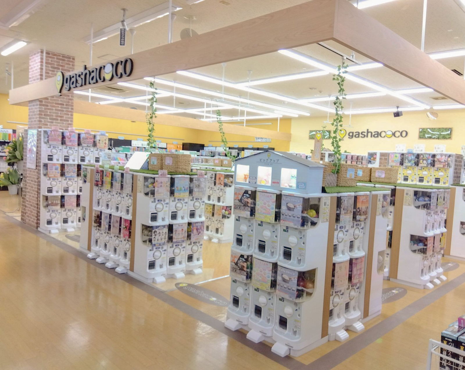 gashacoco 明屋書店川内 外観