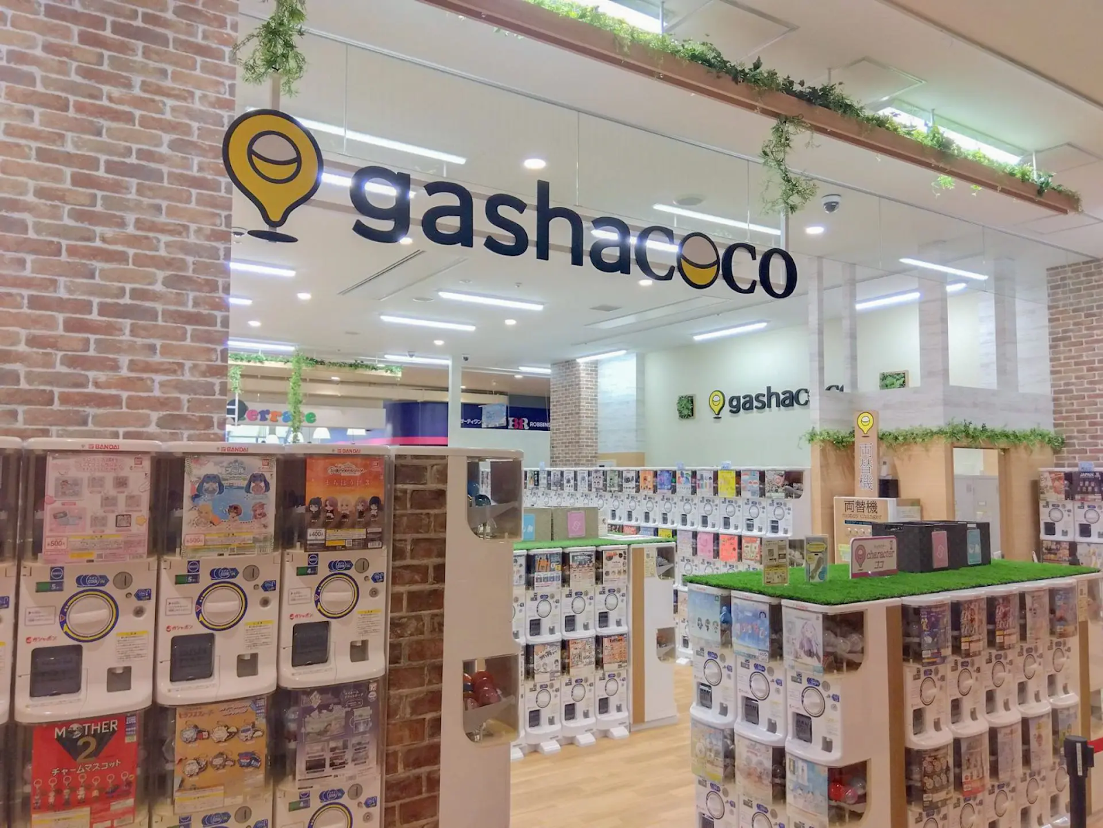 gashacoco 足利コムファーストSC 外観
