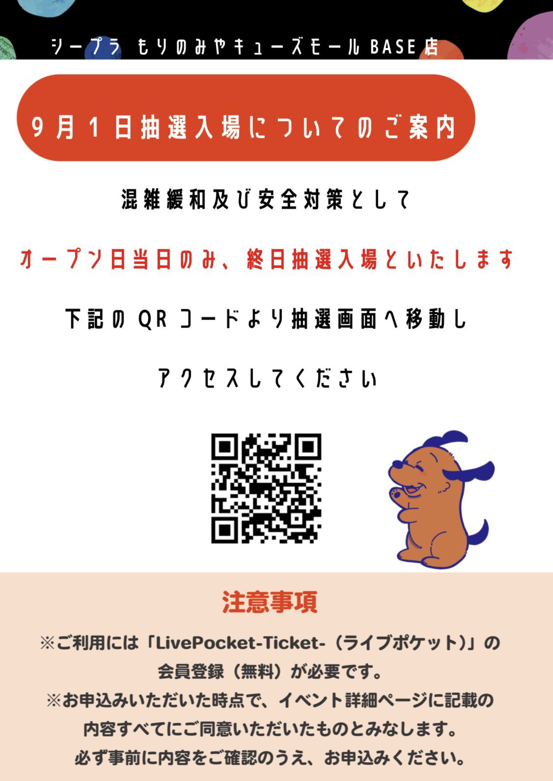 #C-pla もりのみやキューズモールBASE店