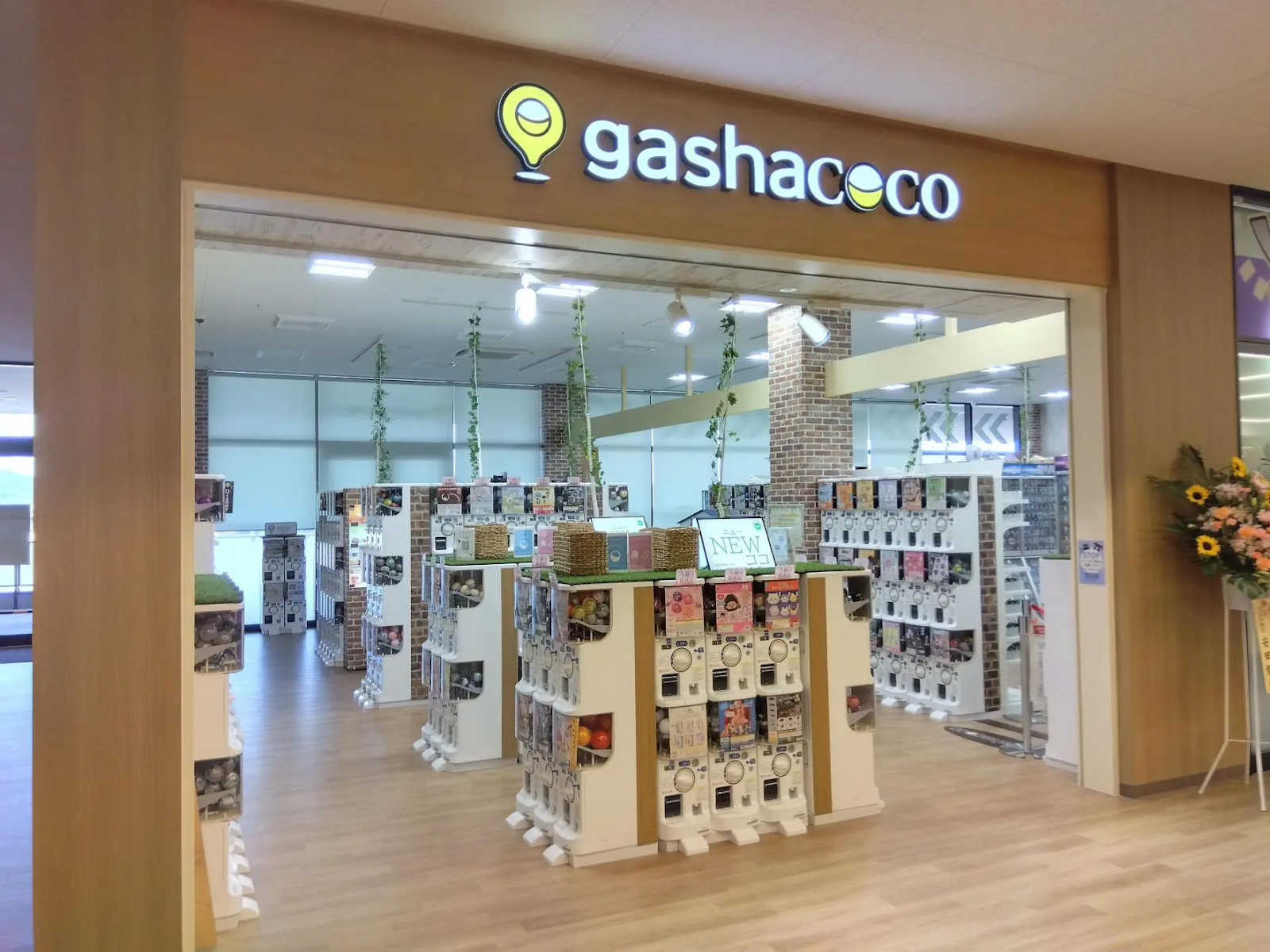 gashacoco ウェルプレイドハピーズ西大寺モール 外観