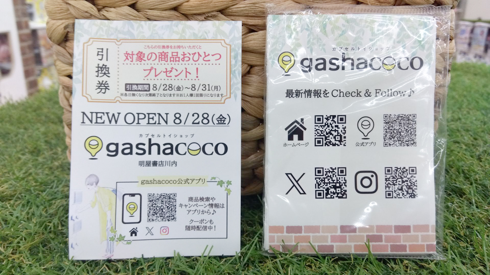 gashacoco 明屋書店川内 写真2